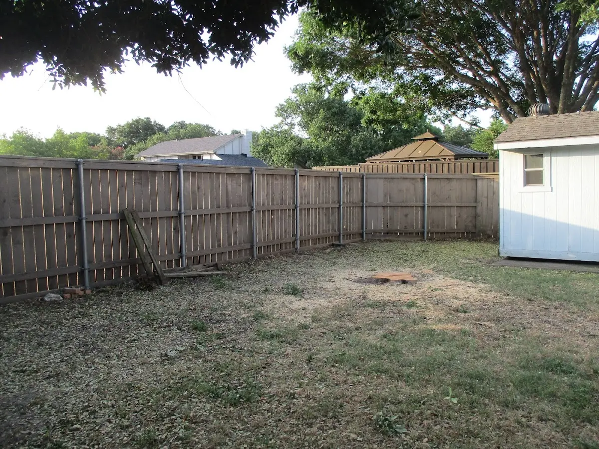 Cleared yard after professional tree removal in Keedysville