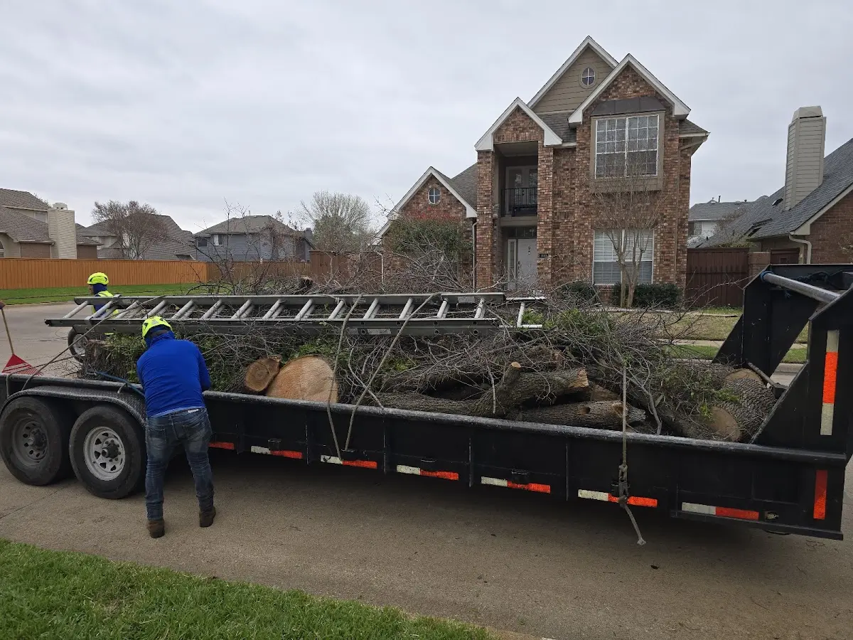 Expert Tree Fertilization with proper safety equipment in Keedysville